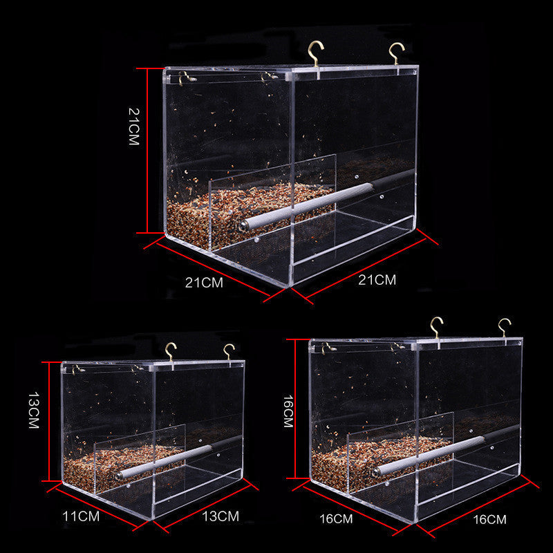 Transform Your Birdwatching Experience with Our Acrylic Bird Feeder